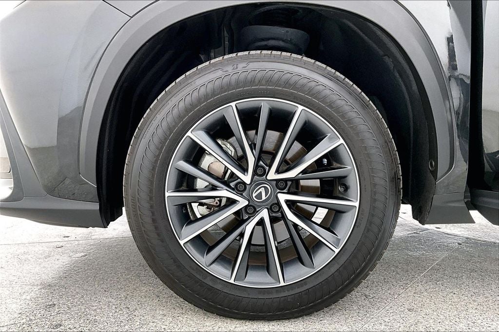 2025 Lexus NX 250 Premium