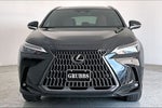 2025 Lexus NX 250 Premium