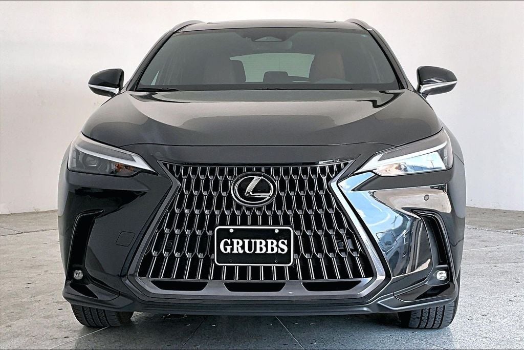 2025 Lexus NX 250 Premium