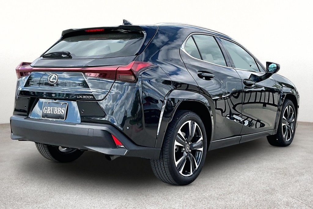 2025 Lexus UX 300h Premium