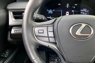 2025 Lexus UX 300h Premium