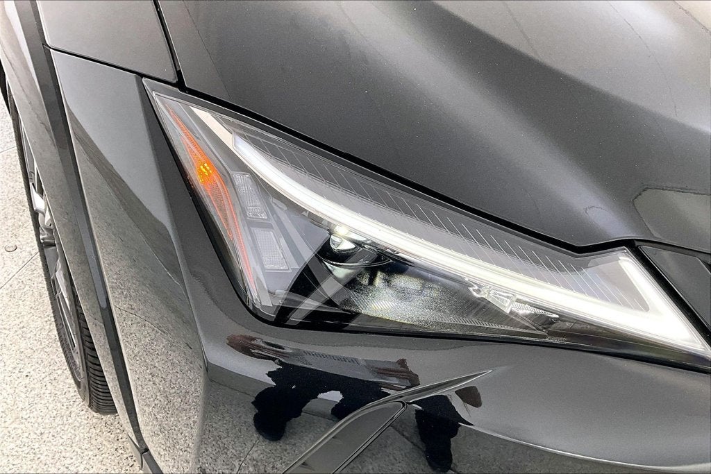2025 Lexus UX 300h Premium