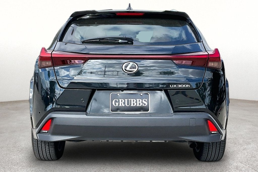 2025 Lexus UX 300h Premium