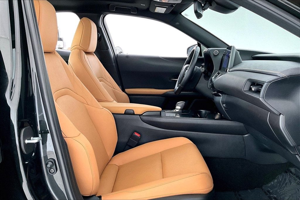 2025 Lexus UX 300h Premium